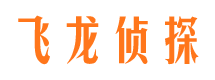 偃师寻人公司